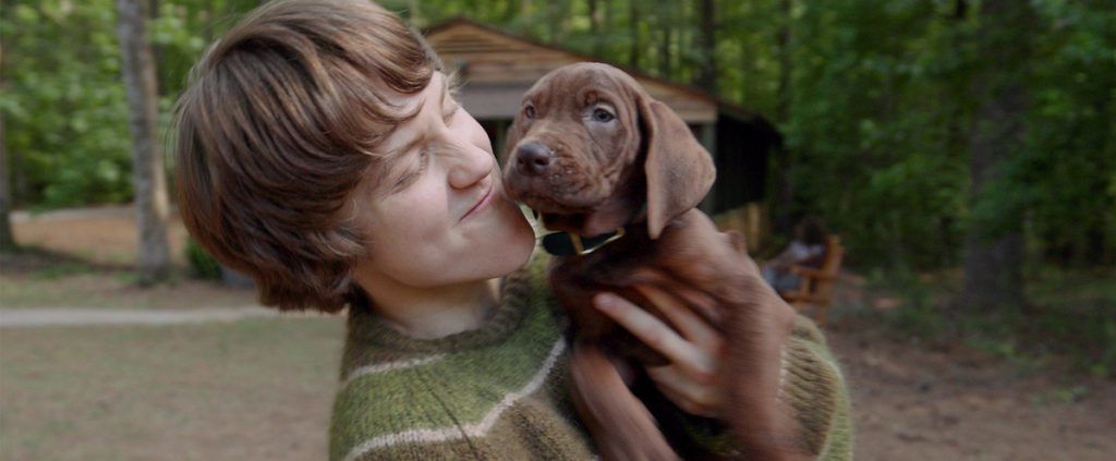 Netflix encerra filmagens de Scooby-Doo: A Origem e confirma cão de verdade no papel principal